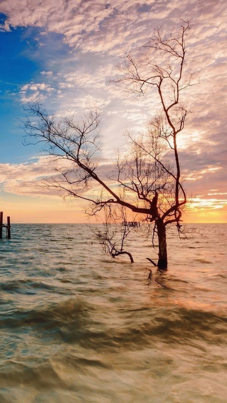 Fondo de pantalla Penang, Malaysian state 750x1334