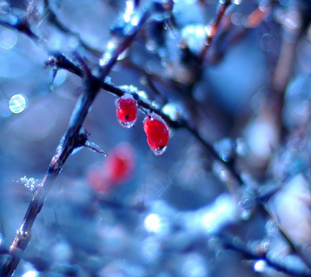 Two Frozen Berries screenshot #1 1080x960
