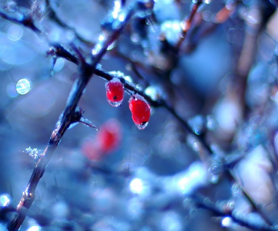 Two Frozen Berries screenshot #1 960x800