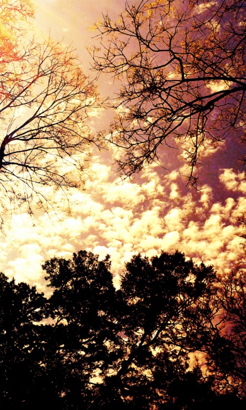 Colorful Sky wallpaper 480x800