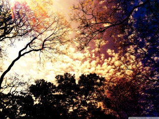 Colorful Sky Picture for Android, iPhone and iPad