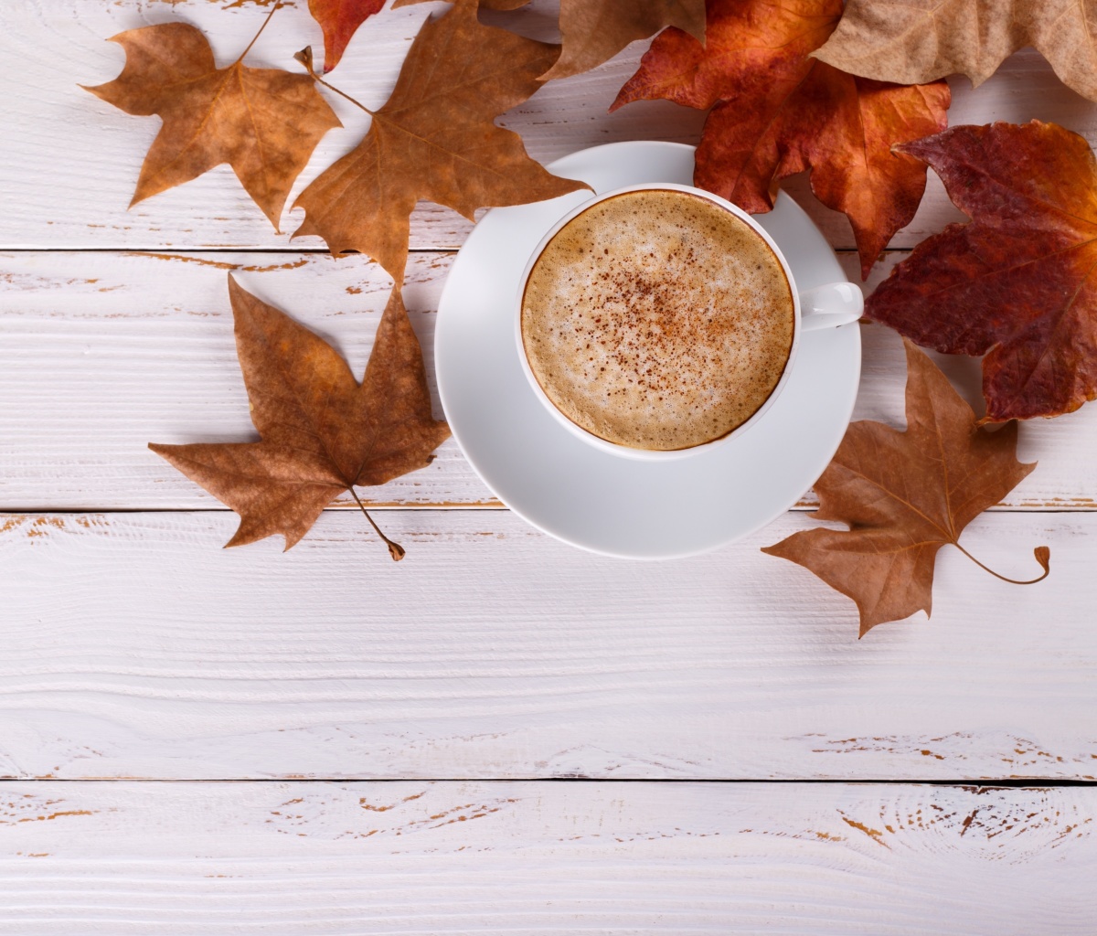 Cozy autumn morning with a cup of hot coffee wallpaper 1200x1024