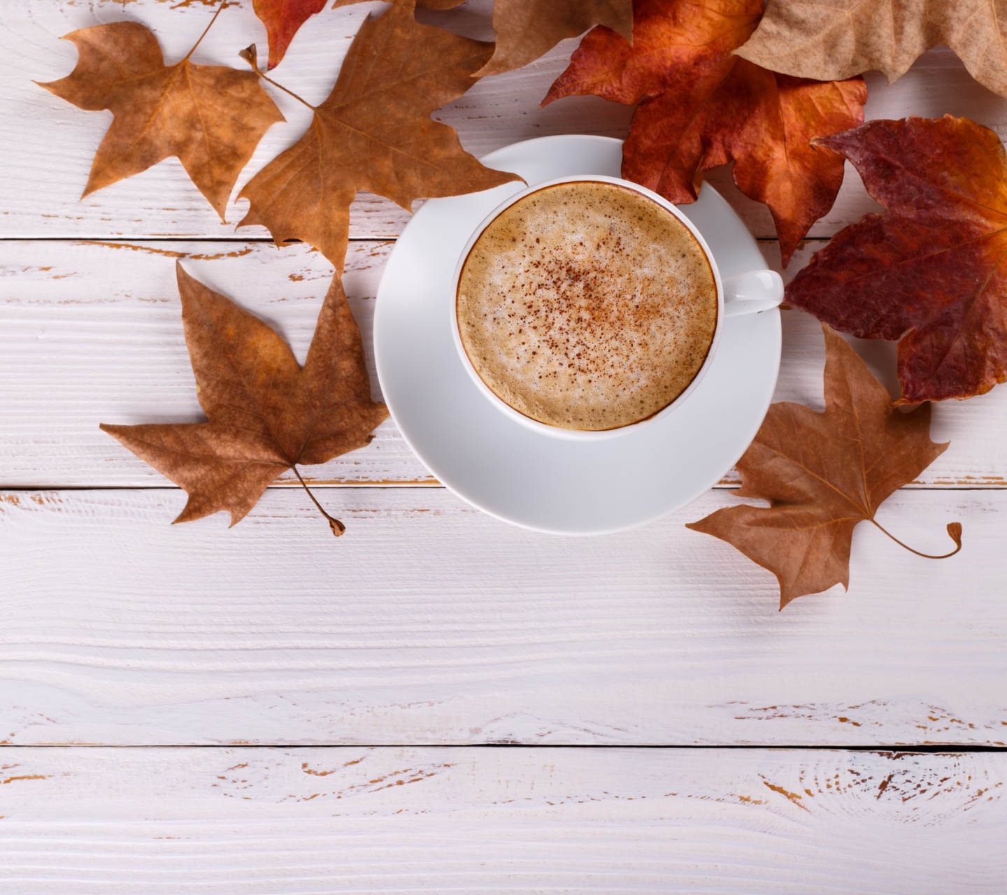 Das Cozy autumn morning with a cup of hot coffee Wallpaper 1440x1280