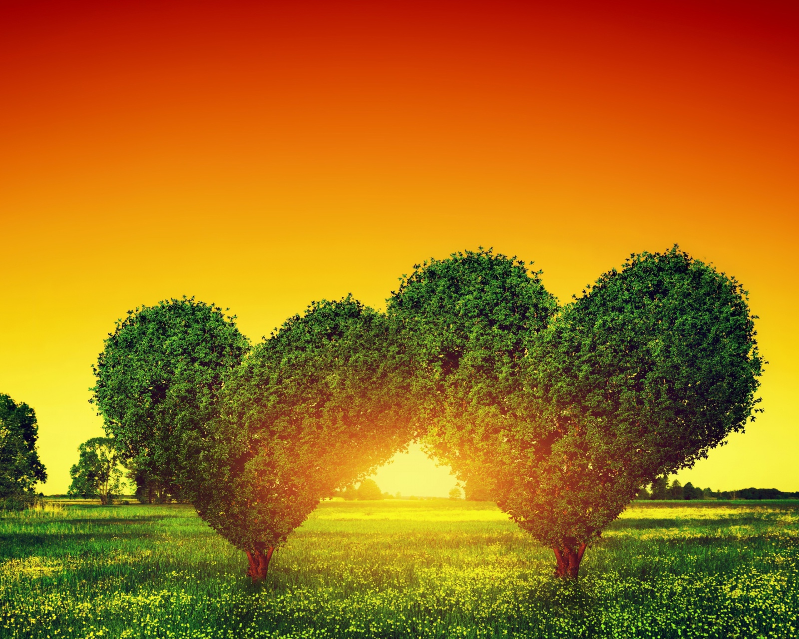 Heart Green Tree screenshot #1 1600x1280