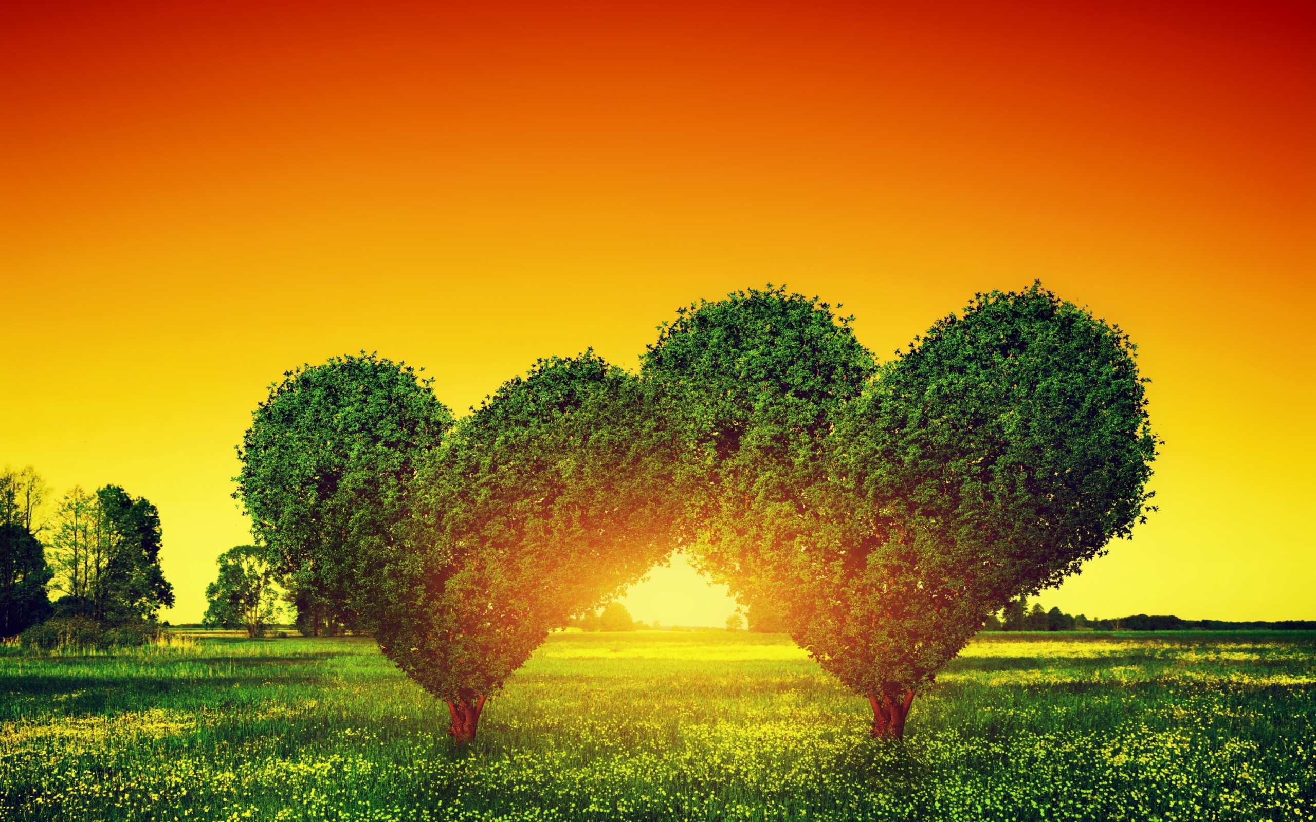 Das Heart Green Tree Wallpaper 2560x1600