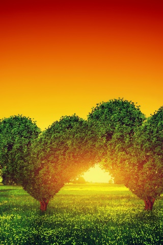 Das Heart Green Tree Wallpaper 320x480