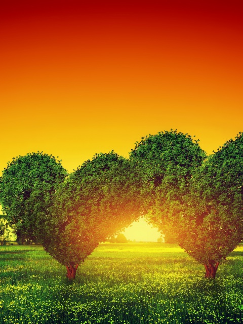 Das Heart Green Tree Wallpaper 480x640