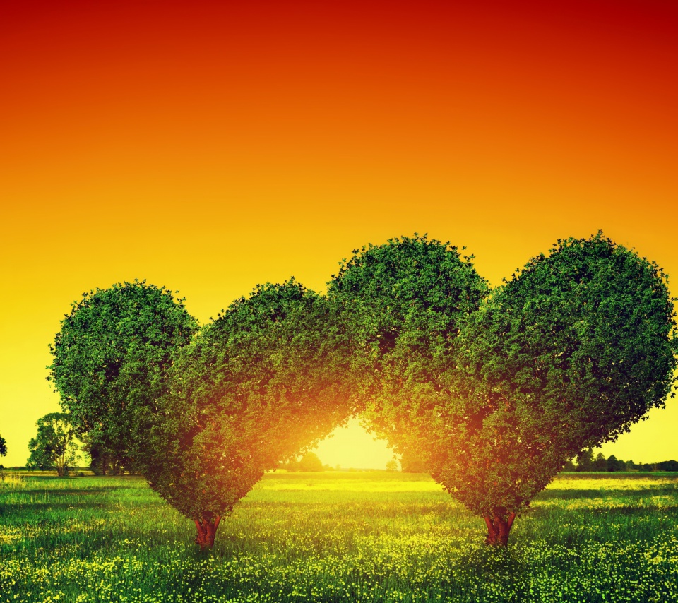 Das Heart Green Tree Wallpaper 960x854