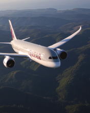Обои Qatar Airways - Boeing 787 176x220