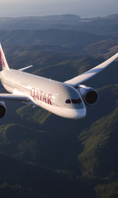 Обои Qatar Airways - Boeing 787 240x400