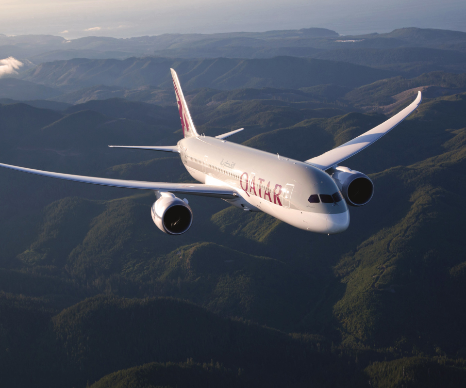 Das Qatar Airways - Boeing 787 Wallpaper 960x800