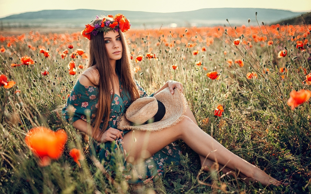 Girl in Poppy Field wallpaper 1280x800