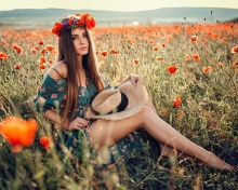Girl in Poppy Field wallpaper 220x176