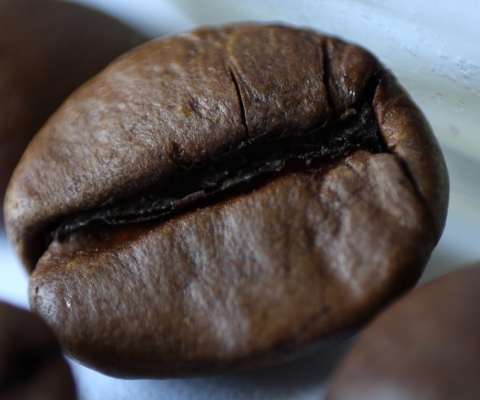 Coffee Bean screenshot #1 480x400