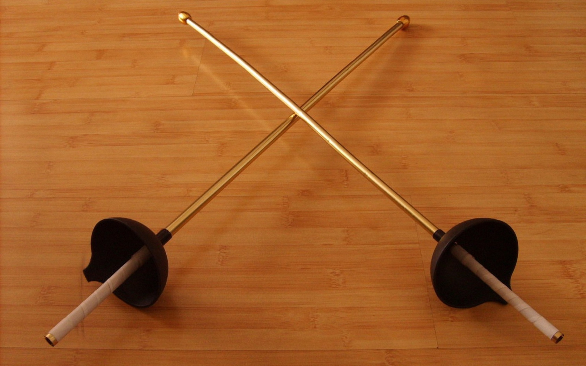 Screenshot №1 pro téma Toy Fencing Swords 1920x1200