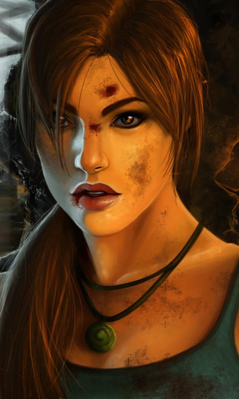 Fondo de pantalla Tomb Raider 2012 480x800