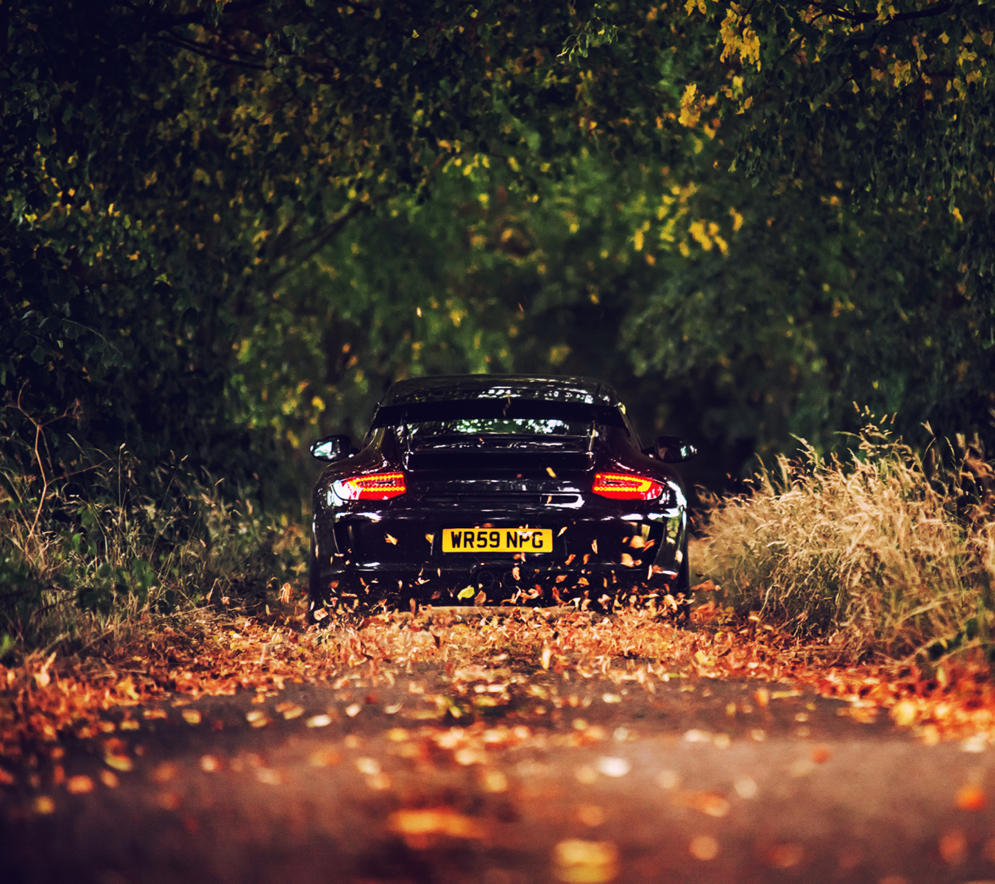 Fondo de pantalla Porsche, GT3 1440x1280