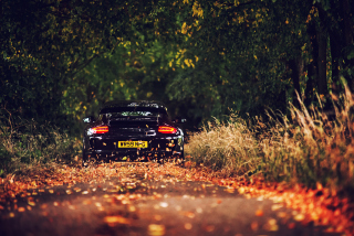 Porsche, GT3 Wallpaper for Android, iPhone and iPad