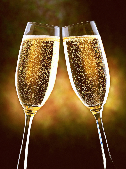 Champagne Toast wallpaper 480x640