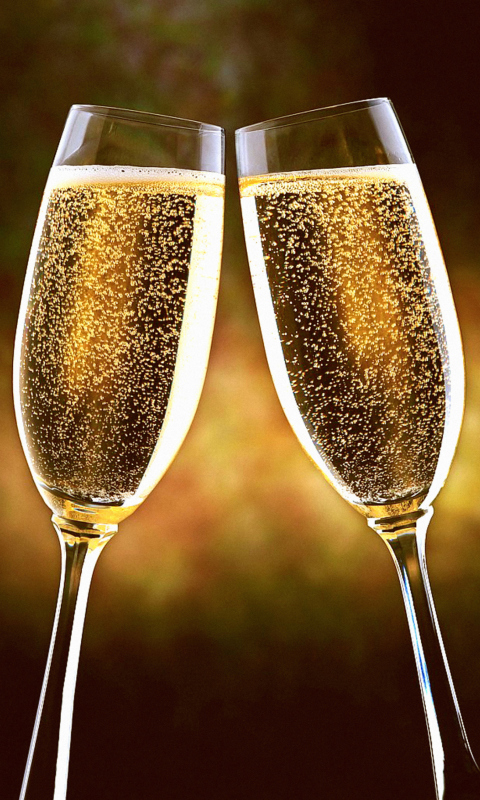 Champagne Toast wallpaper 480x800
