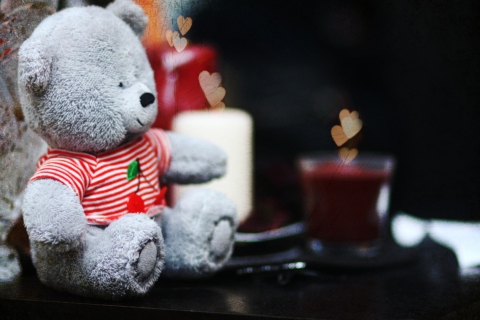 Обои Lovely Grey Teddy Bear 480x320