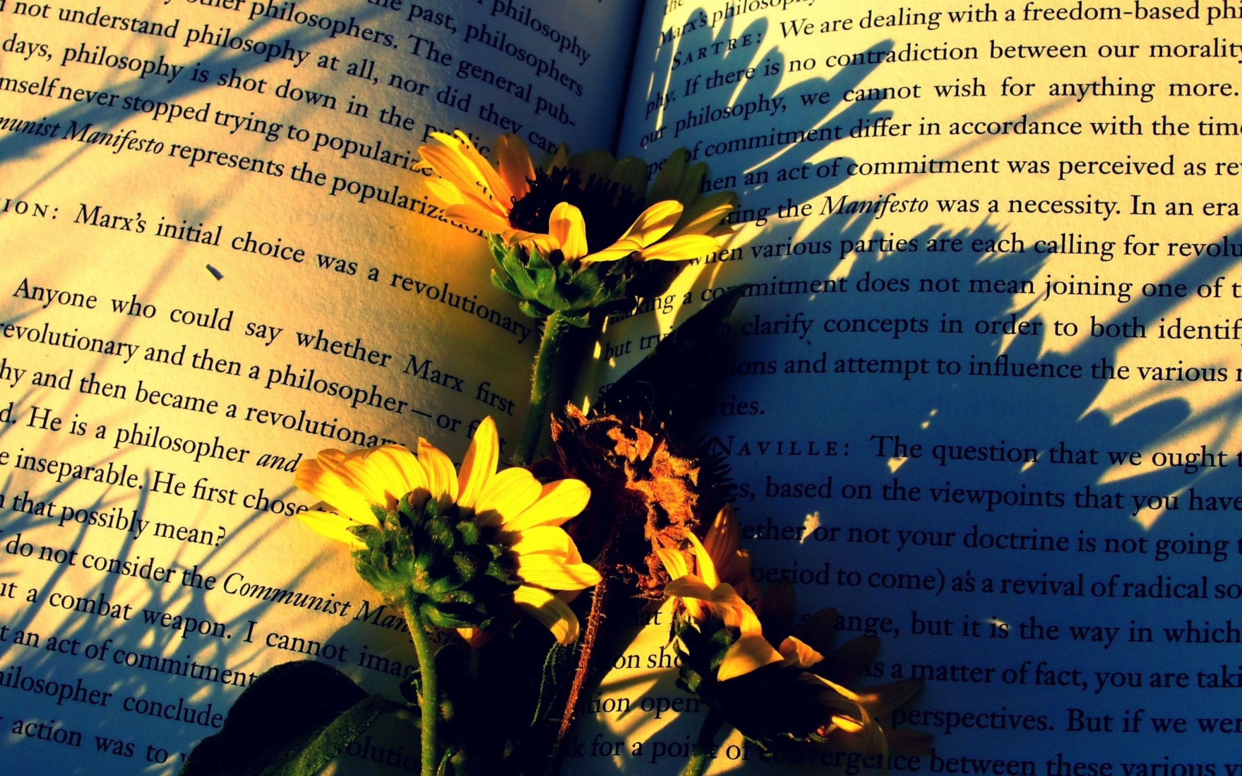 Das Yellow Daisies On Book Pages Wallpaper 2560x1600