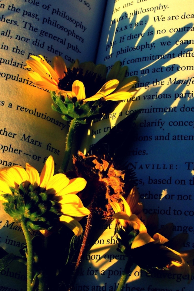 Das Yellow Daisies On Book Pages Wallpaper 640x960