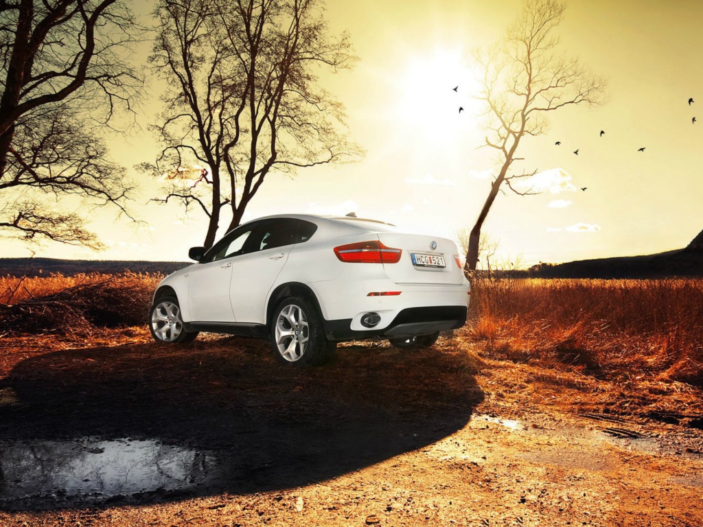 Screenshot №1 pro téma BMW X6 1024x768