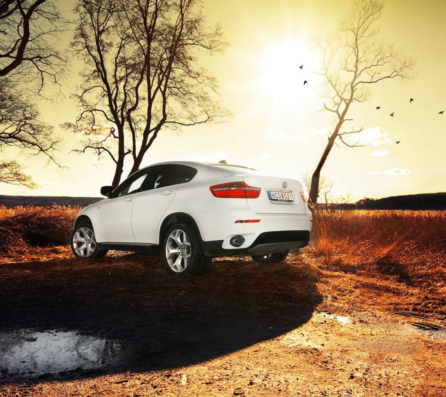 BMW X6 wallpaper 1440x1280