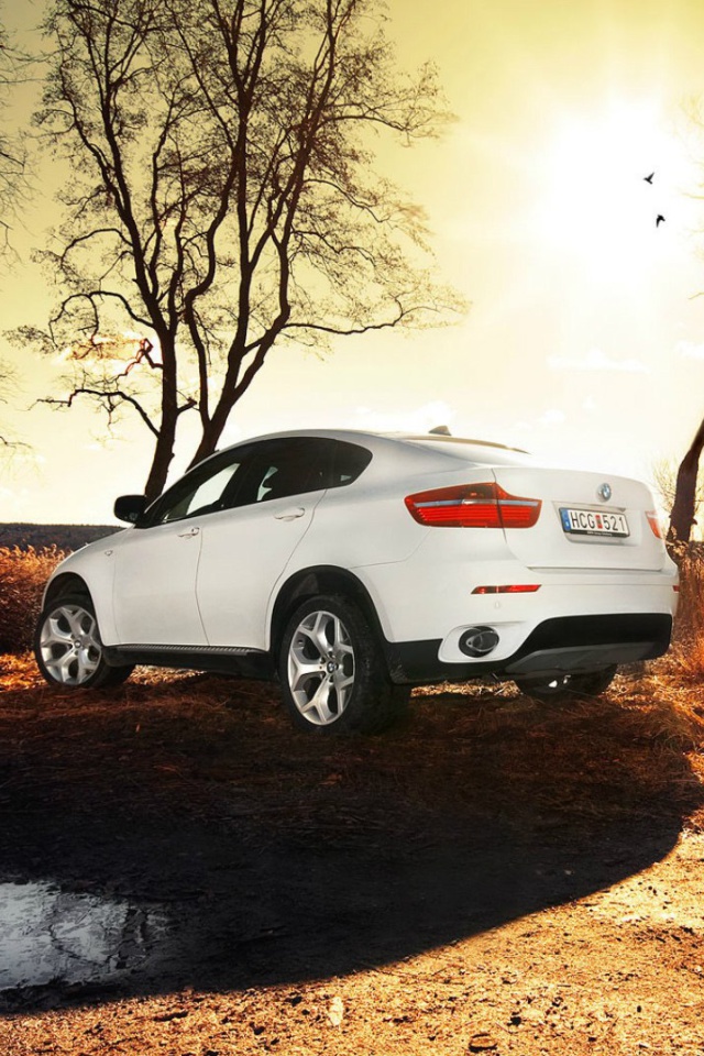 Fondo de pantalla BMW X6 640x960