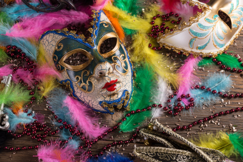 Das Carnevale di Venezia Wallpaper 480x320