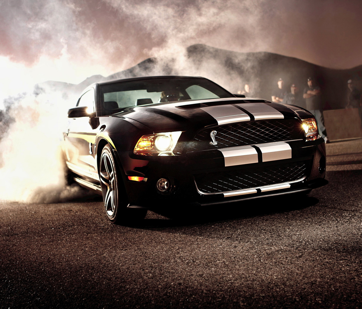 Screenshot №1 pro téma Ford Mustang 1200x1024