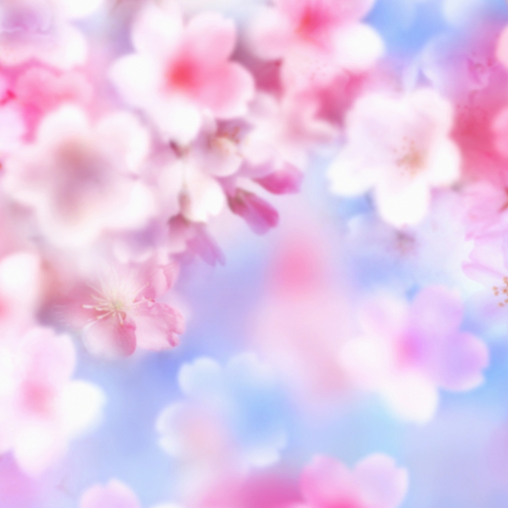 Pink Blossoms wallpaper 1024x1024