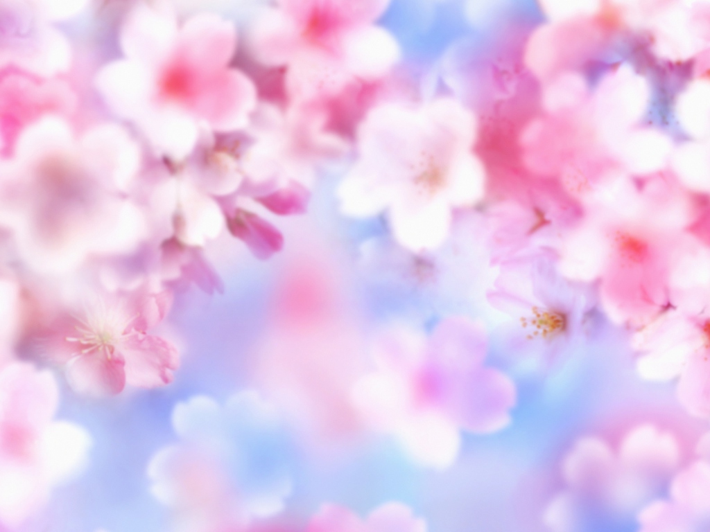 Das Pink Blossoms Wallpaper 1024x768