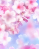 Das Pink Blossoms Wallpaper 128x160