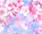 Pink Blossoms wallpaper 176x144