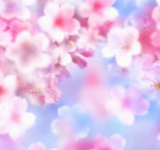 Kostenloses Pink Blossoms Wallpaper für 128x128