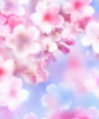 Kostenloses Pink Blossoms Wallpaper für Nokia X7