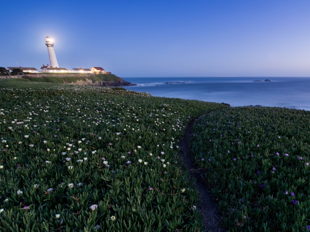 Das Pigeon Point Lighthouse Wallpaper 1024x768