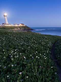 Обои Pigeon Point Lighthouse 240x320