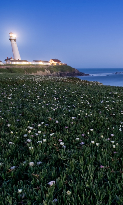 Обои Pigeon Point Lighthouse 480x800