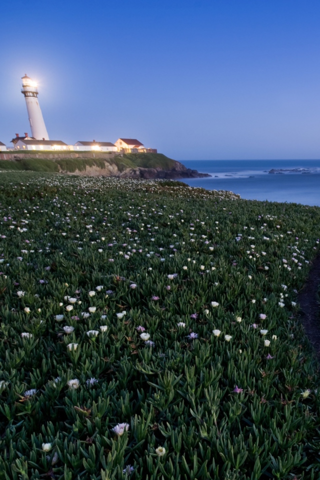 Pigeon Point Lighthouse screenshot #1 640x960