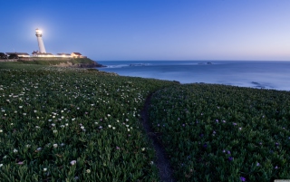 Kostenloses Pigeon Point Lighthouse Wallpaper für Android, iPhone und iPad