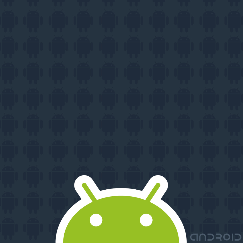 Fondo de pantalla Android 2.2 1024x1024