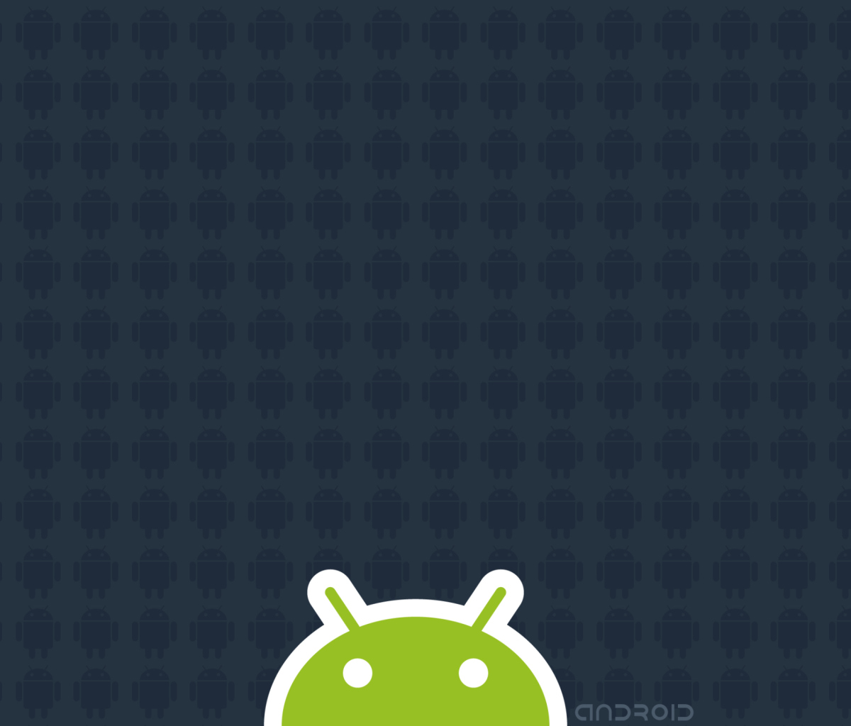 Das Android 2.2 Wallpaper 1200x1024