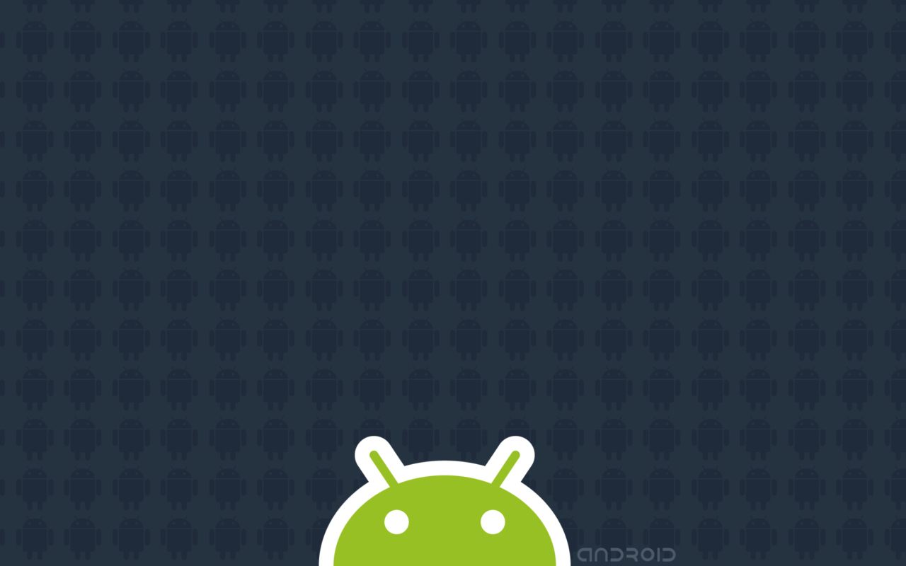 Sfondi Android 2.2 1280x800