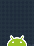 Screenshot №1 pro téma Android 2.2 132x176