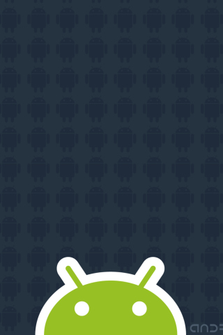 Das Android 2.2 Wallpaper 320x480
