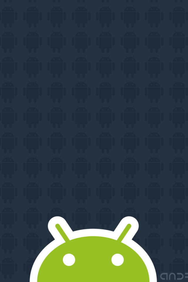 Android 2.2 screenshot #1 640x960