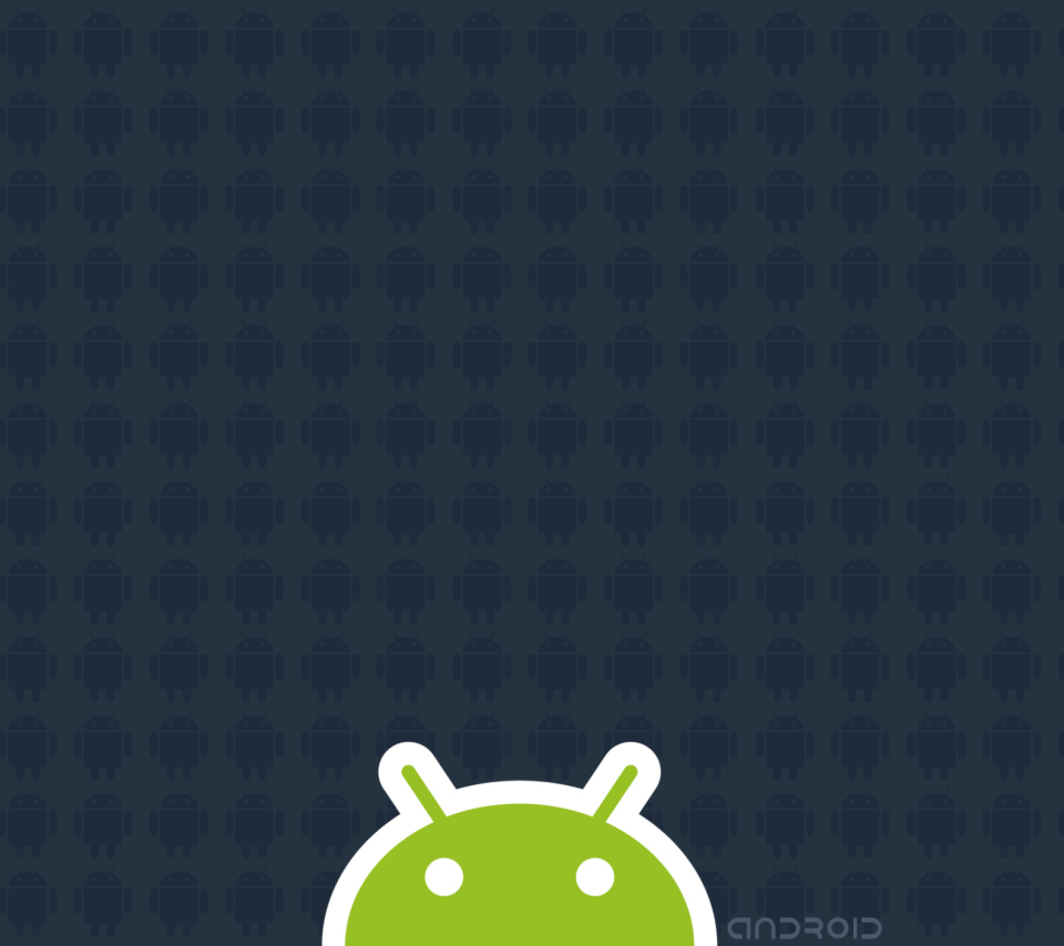 Das Android 2.2 Wallpaper 960x854